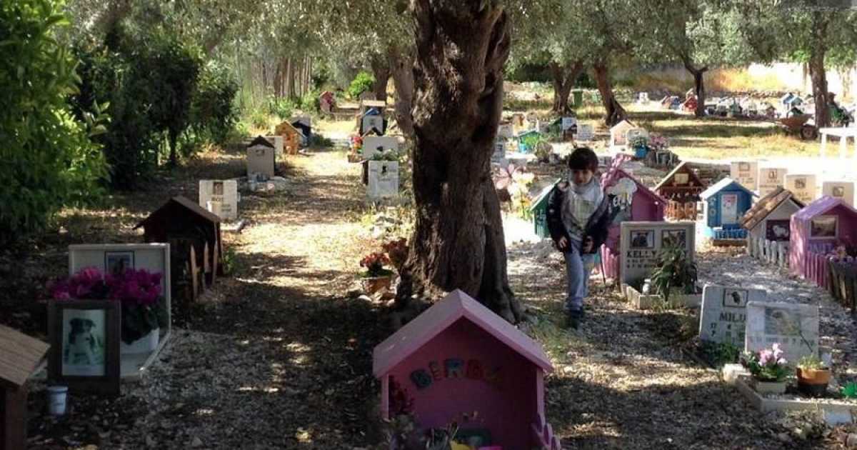 Acquaviva, alla scoperta del "Parco degli affetti": il colorato cimitero degli animali